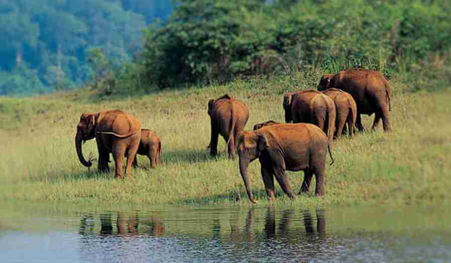 Thekkady
